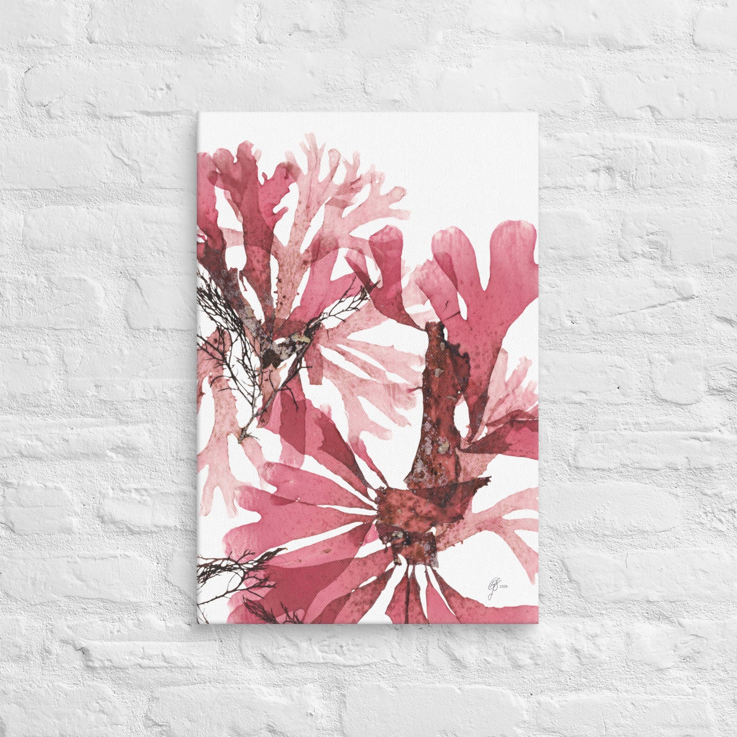 Blush – Pink Marine Canvas Print, A2, Stewart Island New Zealand | EASTERLY
