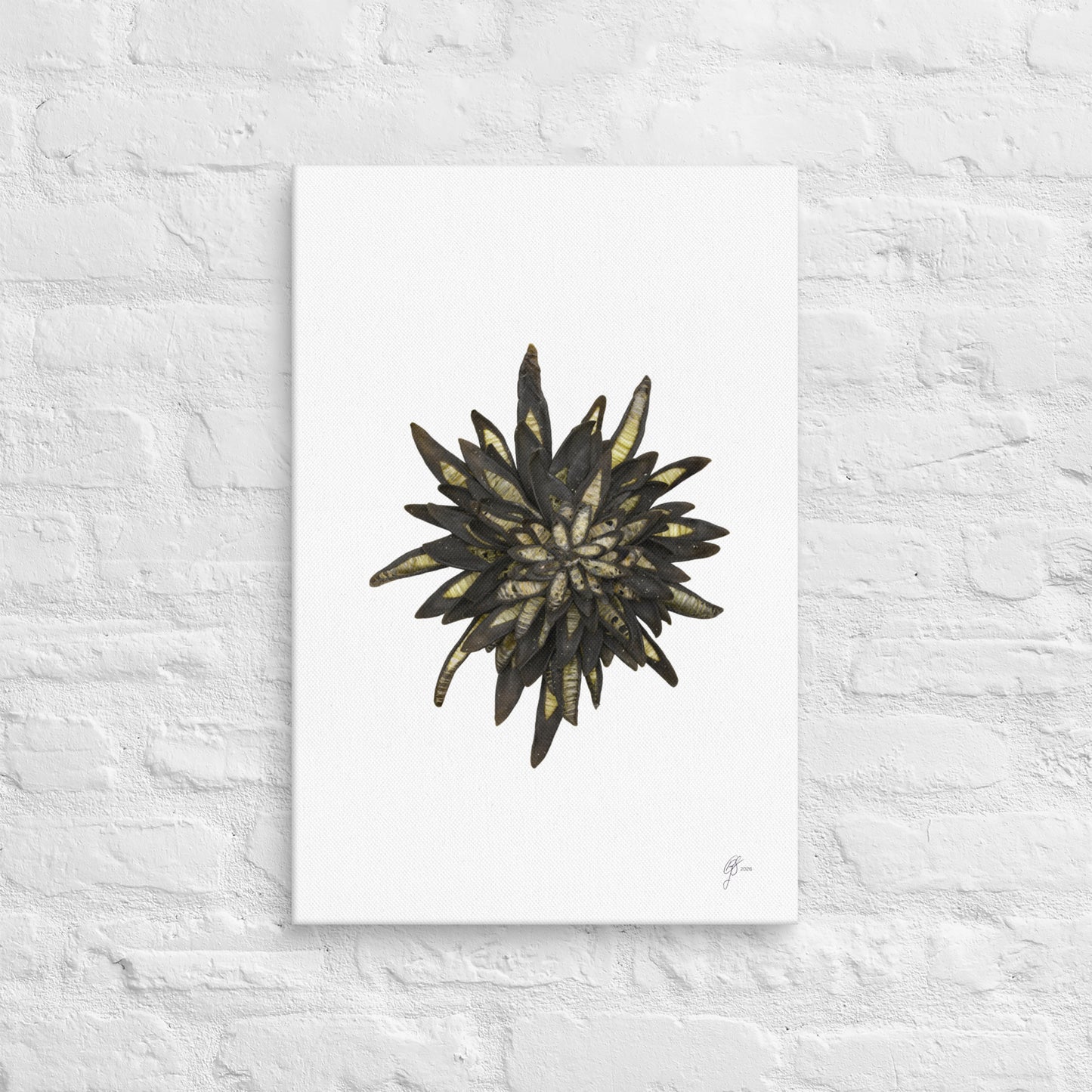 Bloom – Kelp Canvas Print, A2, Stewart Island New Zealand | EASTERLY