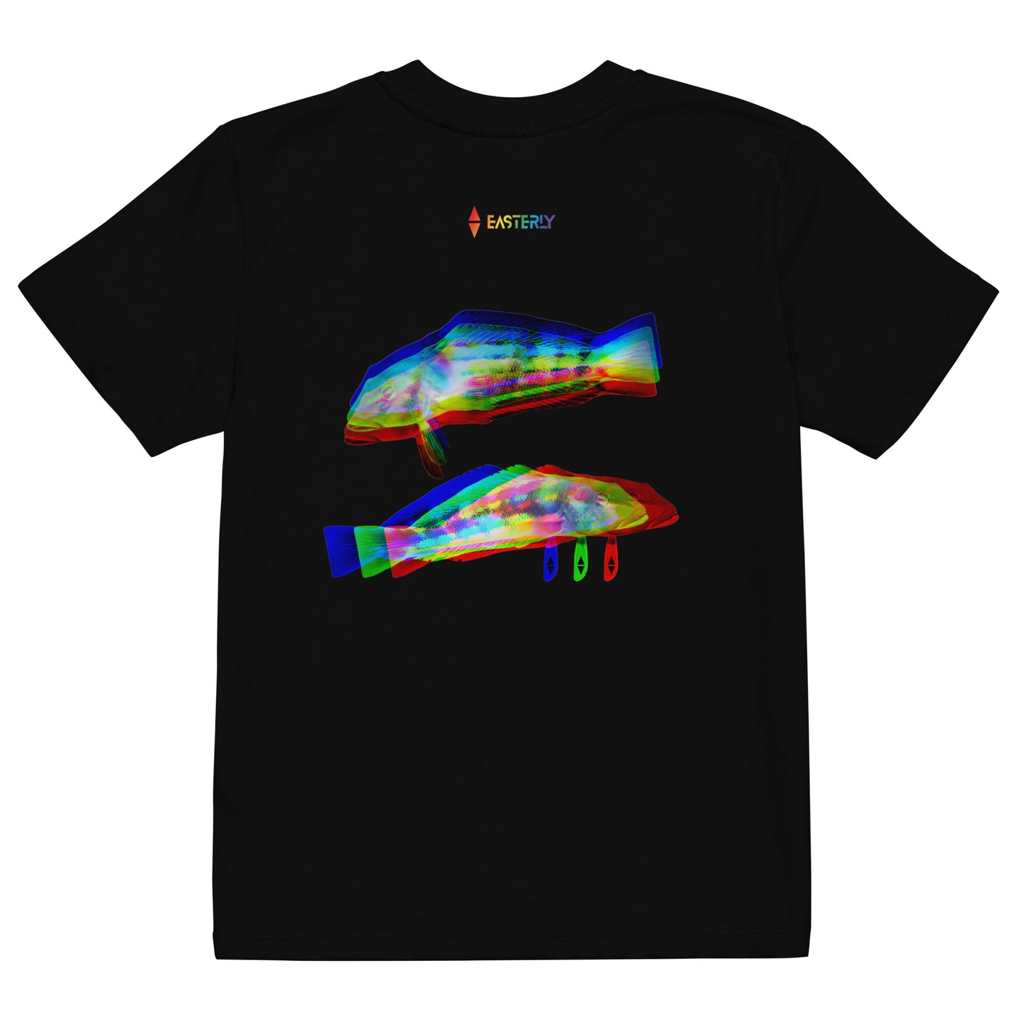 Rāwaru — Kids' Organic Cotton T-Shirt, Back View, Black. Stewart Island New Zealand | EASTERLY
