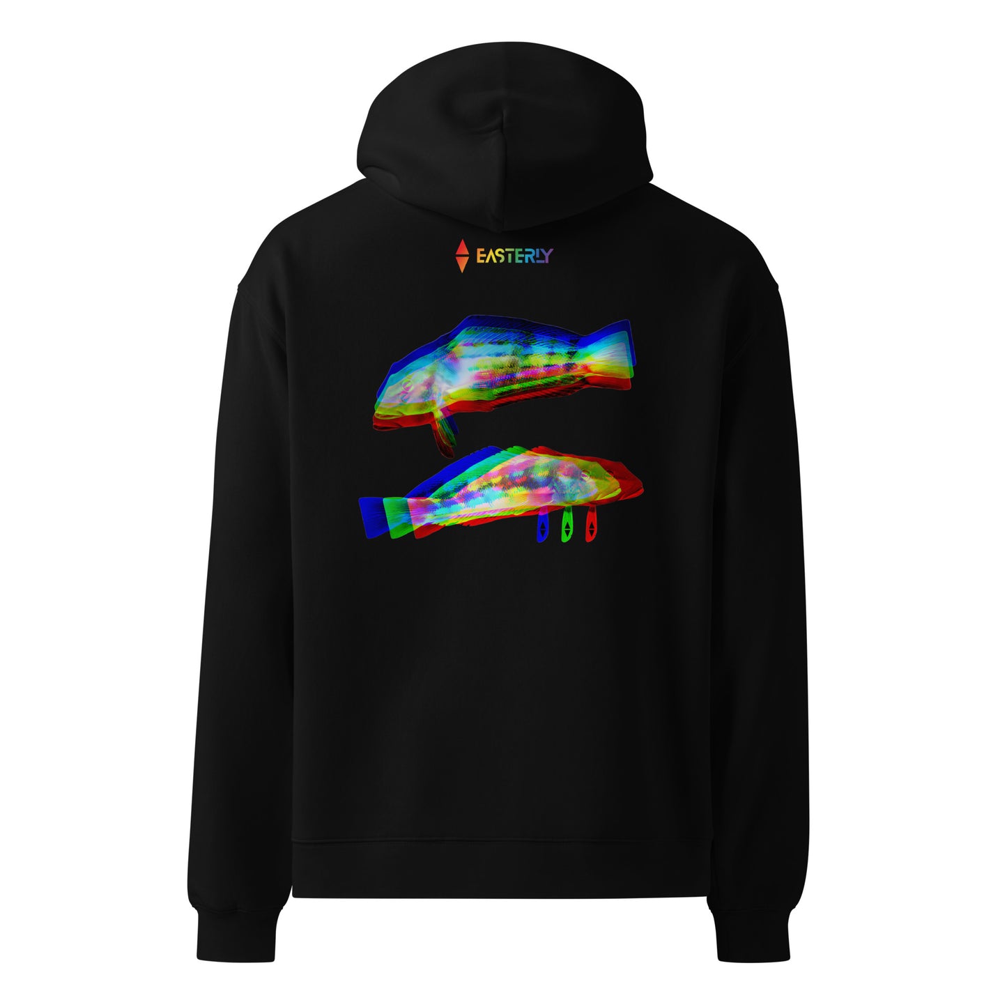 Rāwaru Flash — Hoodie, Back View, Black. Stewart Island New Zealand | EASTERLY