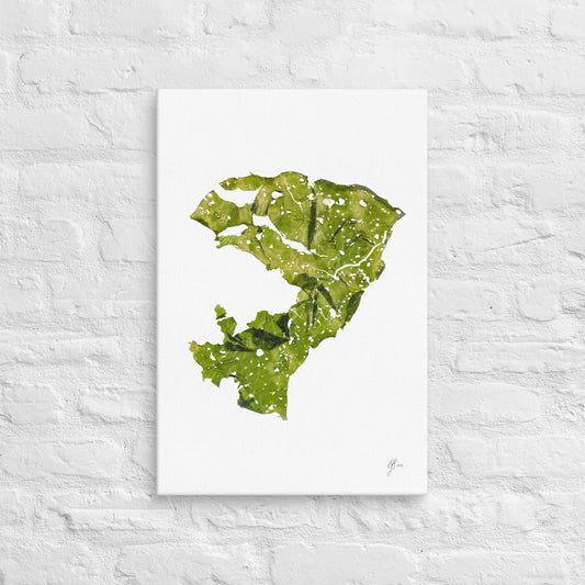 Australis – Native Seaweed Canvas Print, A2, Stewart Island New Zealand | EASTERLY