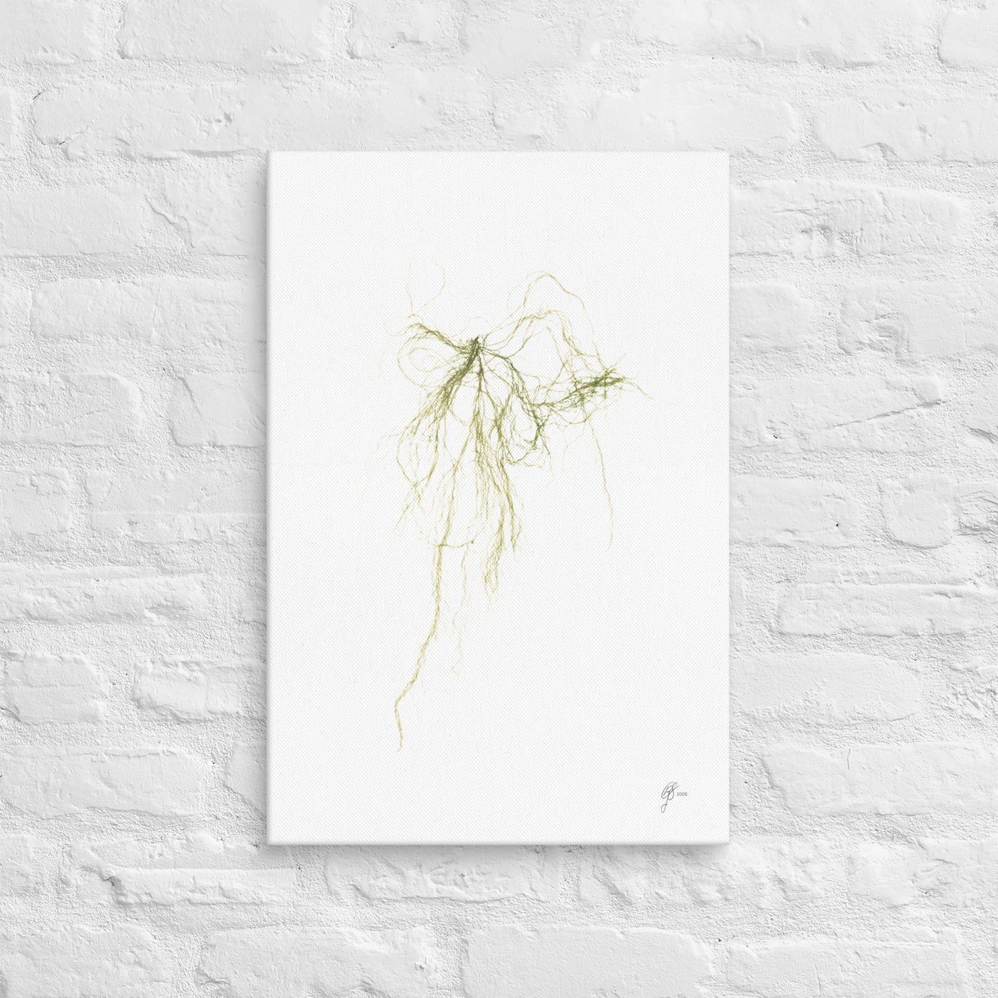 Luminous – Glowing Seaweed Canvas Print, A2, Stewart Island New Zealand | EASTERLY