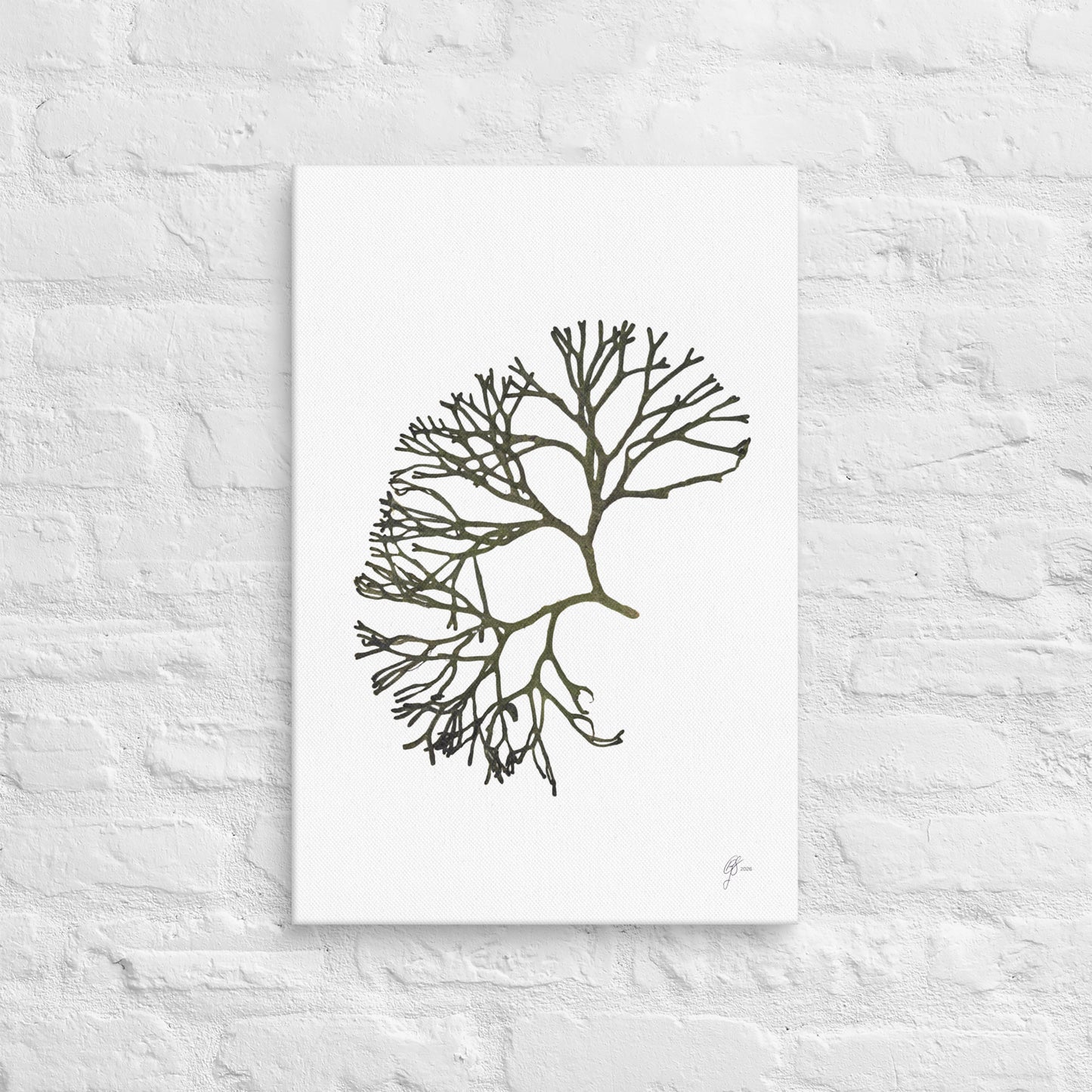 Green Velvet – Green Seaweed Canvas Print, A2, Stewart Island New Zealand | EASTERLY