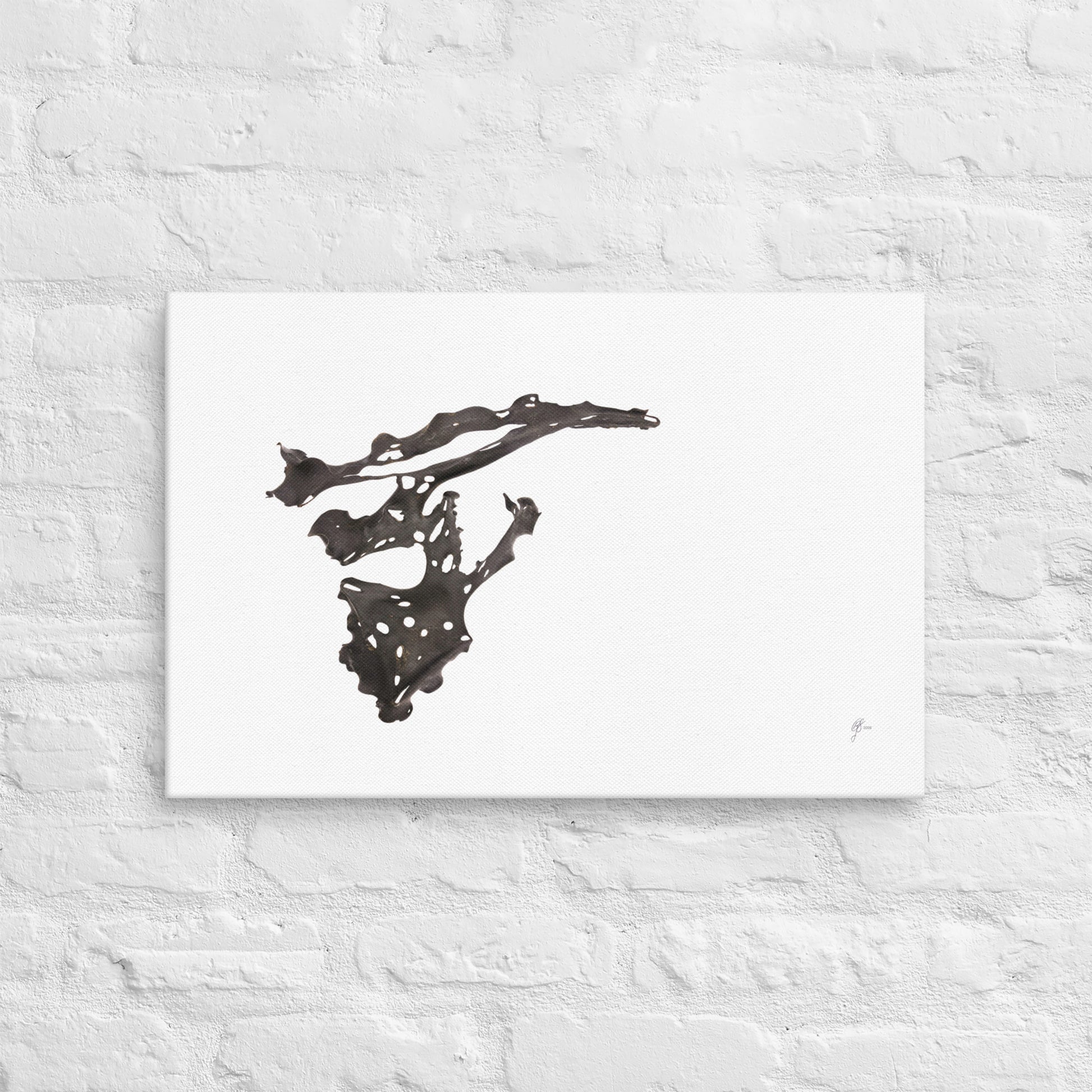 Willana – Native Seaweed Canvas Print, A2, Stewart Island New Zealand | EASTERLY