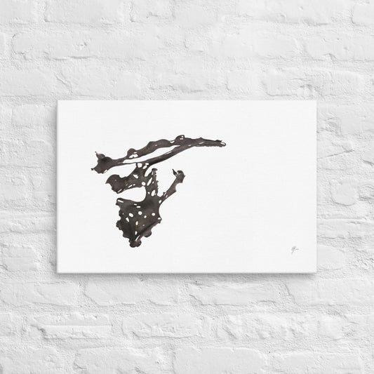 Willana – Native Seaweed Canvas Print, A2, Stewart Island New Zealand | EASTERLY