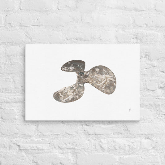 Reclaimed by the Sea – Propeller Canvas Print, A2, Stewart Island New Zealand | EASTERLY