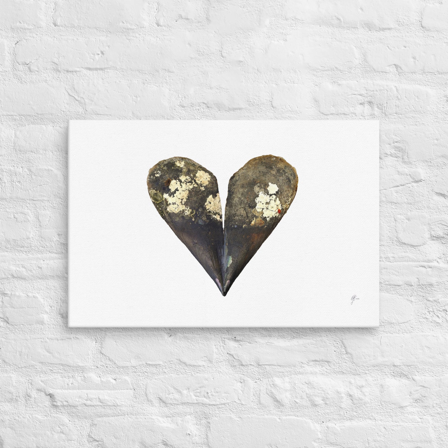 Valentine's Treasure – Sea Shells Canvas Print, A2, Stewart Island New Zealand | EASTERLY