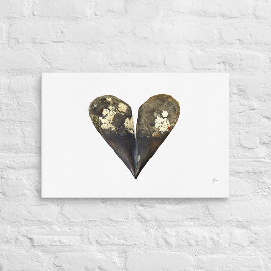 Valentine's Treasure – Sea Shells Canvas Print, A2, Stewart Island New Zealand | EASTERLY