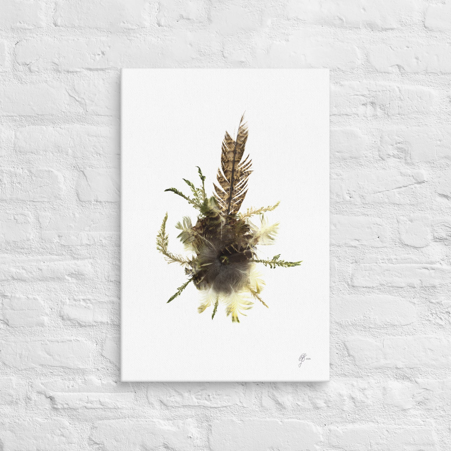 Earthbound – Kākāpō Feather Canvas Print, A2, Stewart Island New Zealand | EASTERLY
