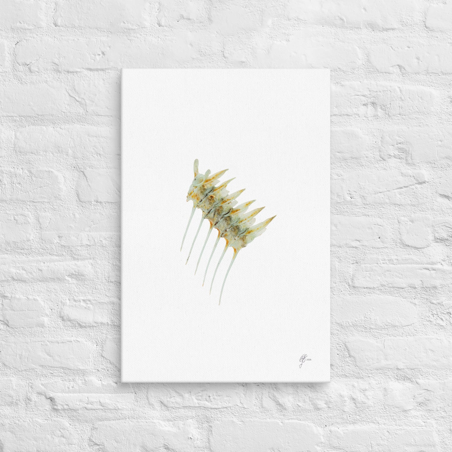 Green Bone – Odax Pullus Fish Bone Canvas Print, A2, Stewart Island New Zealand | EASTERLY