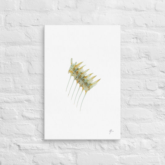 Green Bone – Odax Pullus Fish Bone Canvas Print, A2, Stewart Island New Zealand | EASTERLY