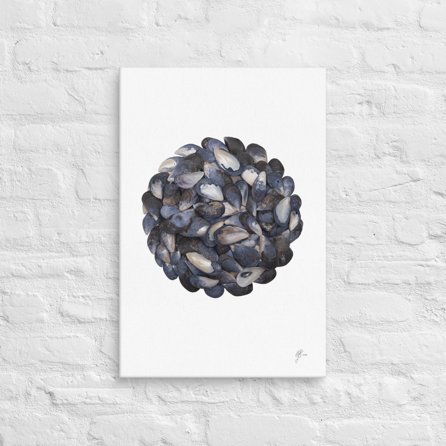 Gathered – Mussel Shell Canvas Print, A2, Stewart Island New Zealand | EASTERLY
