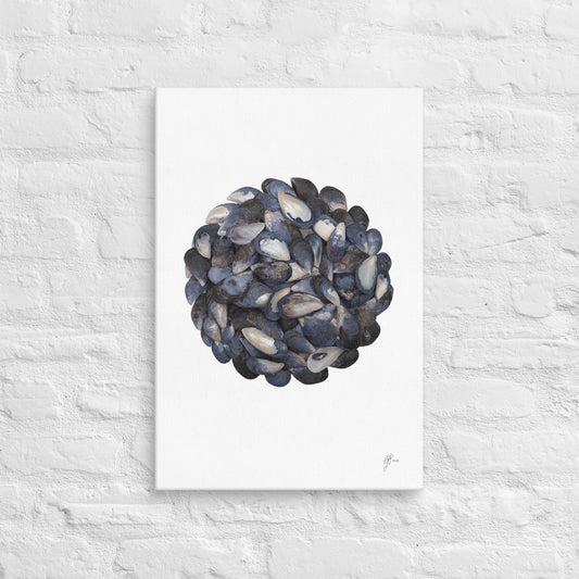 Gathered – Mussel Shell Canvas Print, A2, Stewart Island New Zealand | EASTERLY