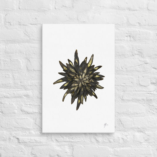 Bloom – Kelp Canvas Print, A2, Stewart Island New Zealand | EASTERLY