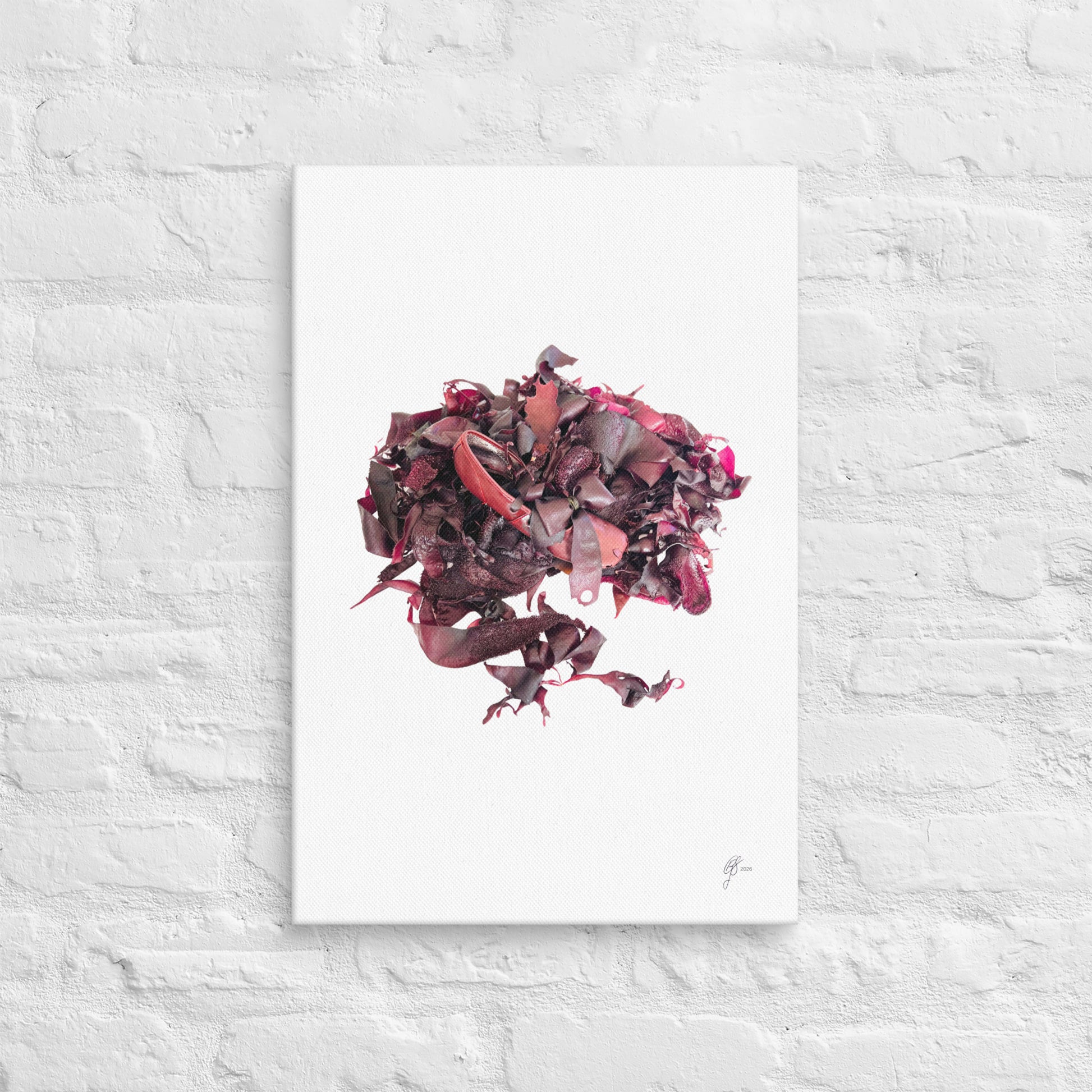 Ariel's Shoe – Gigartina Seaweed Canvas Print, A2, Stewart Island New Zealand | EASTERLY