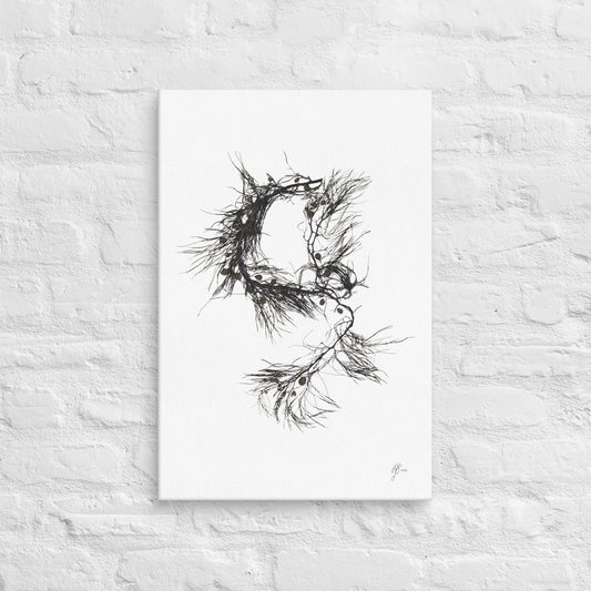 Tangled – Cystophora Retroflexa Canvas Print, A2, Stewart Island New Zealand | EASTERLY