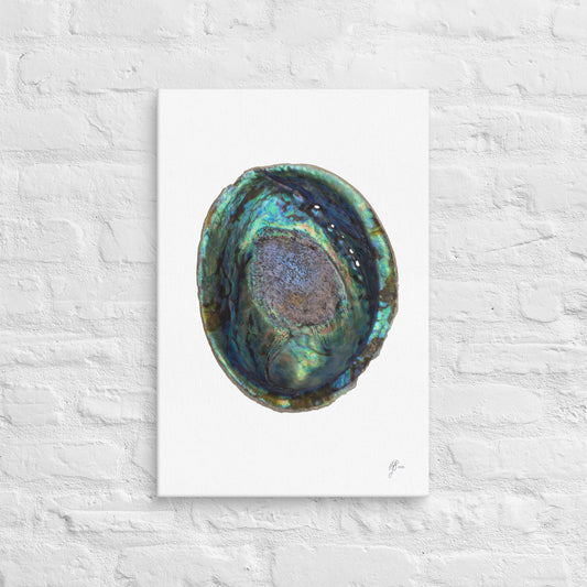 Iridescent Pāua – Abalone Shell Canvas Print, A2, Stewart Island New Zealand | EASTERLY