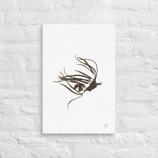 Marginariella – Brown Algae Canvas Print, A2, Stewart Island New Zealand | EASTERLY