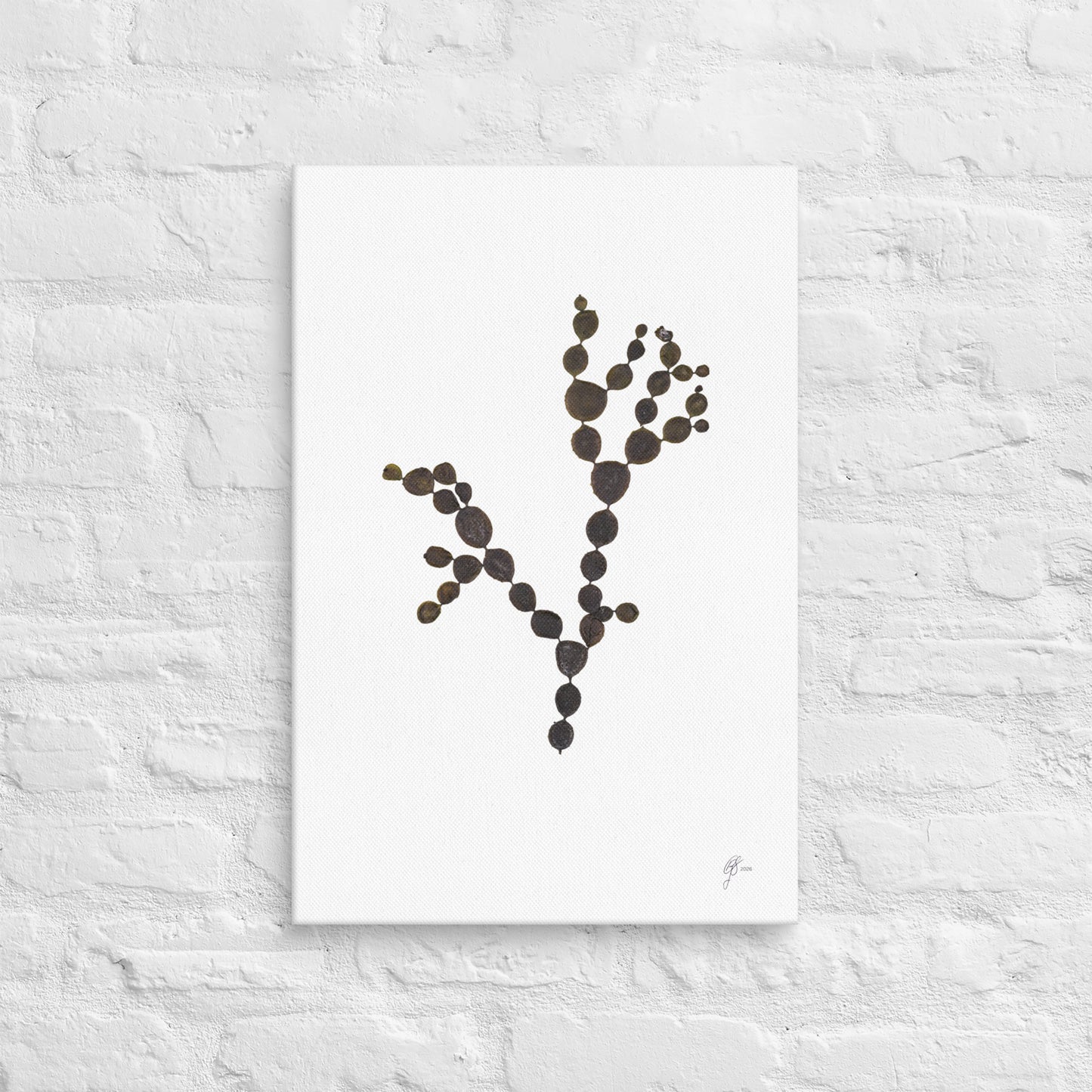 Mermaid's Beads – Hormosira Banksii Canvas Print, A2, Stewart Island New Zealand | EASTERLY