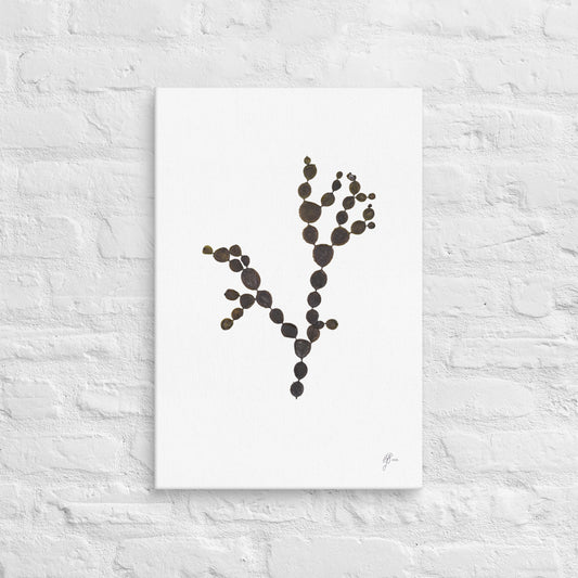 Mermaid's Beads – Hormosira Banksii Canvas Print, A2, Stewart Island New Zealand | EASTERLY