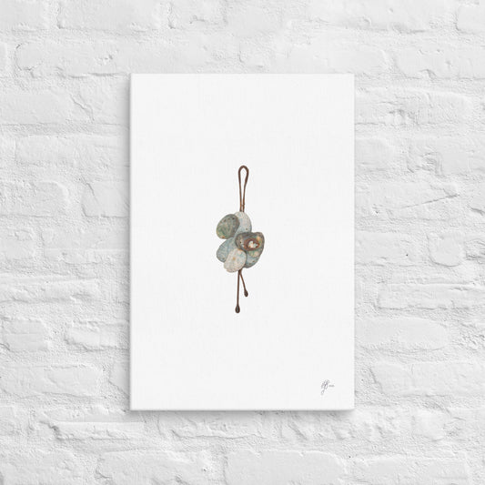 Bobby Pin – Pāua Shell Canvas Print, A2, Stewart Island New Zealand | EASTERLY
