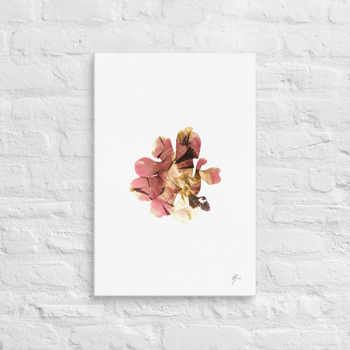 Petal – Pink Seaweed Canvas Print, A2, Stewart Island New Zealand | EASTERLY