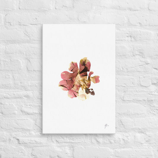 Petal – Pink Seaweed Canvas Print, A2, Stewart Island New Zealand | EASTERLY