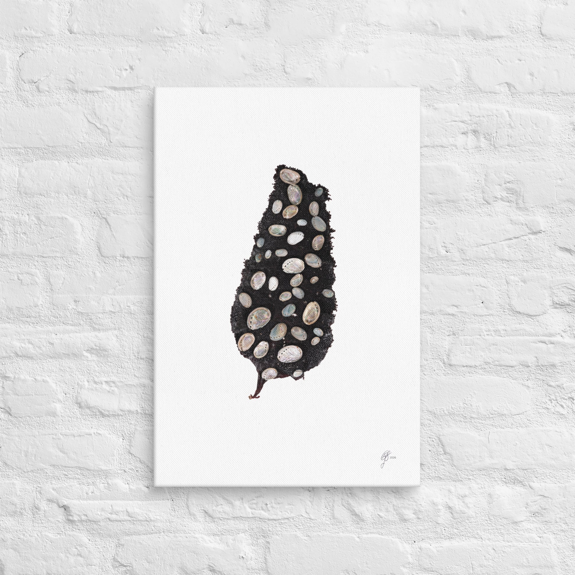 Adorned – Pāua Shell Seaweed Canvas Print, A2, Stewart Island New Zealand | EASTERLY