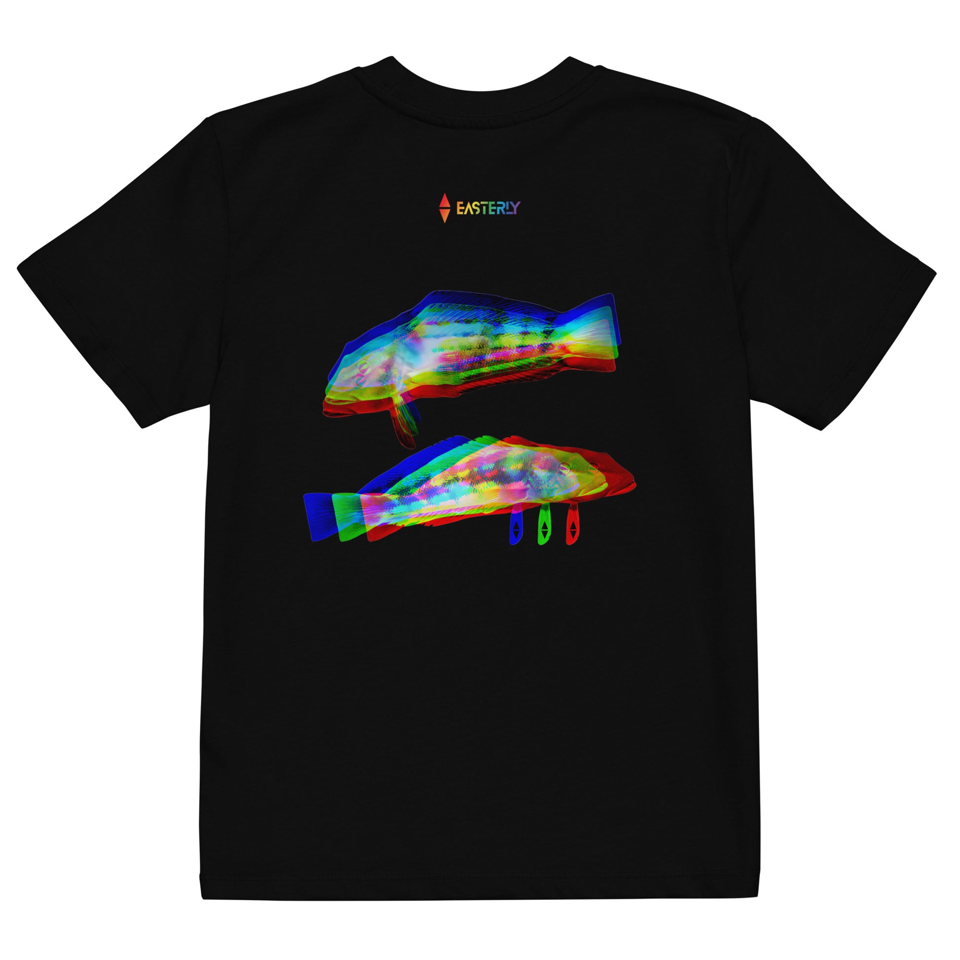 Rāwaru — Kids' Organic Cotton T-Shirt, Back View, Black. Stewart Island New Zealand | EASTERLY

