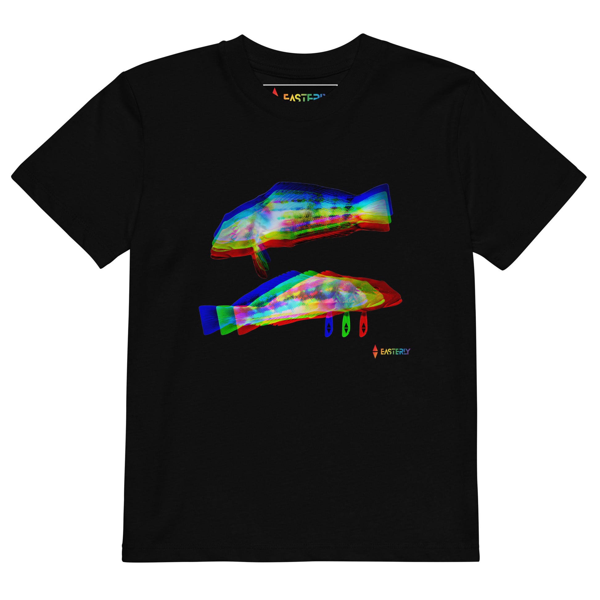 Rāwaru — Kids' Organic Cotton T-Shirt, Front View, Black. Stewart Island New Zealand | EASTERLY

