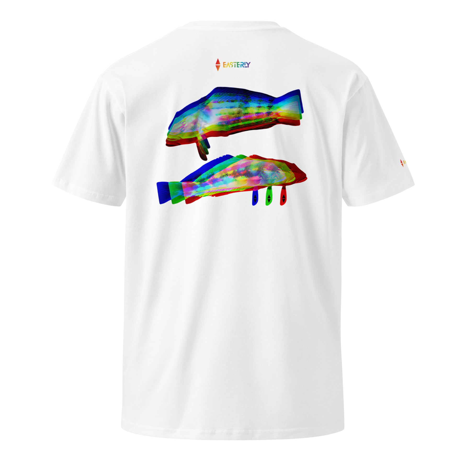 Rāwaru Flash — Premium Tee. Stewart Island New Zealand | EASTERLY. 