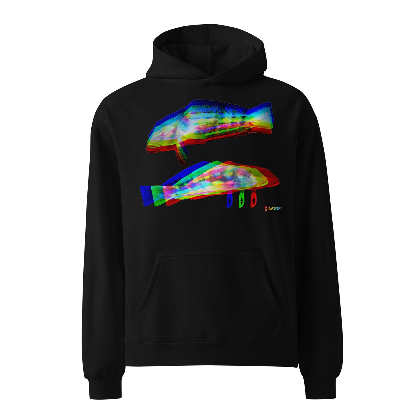 Rāwaru Flash — Hoodie, Front View, Black. Stewart Island New Zealand | EASTERLY
