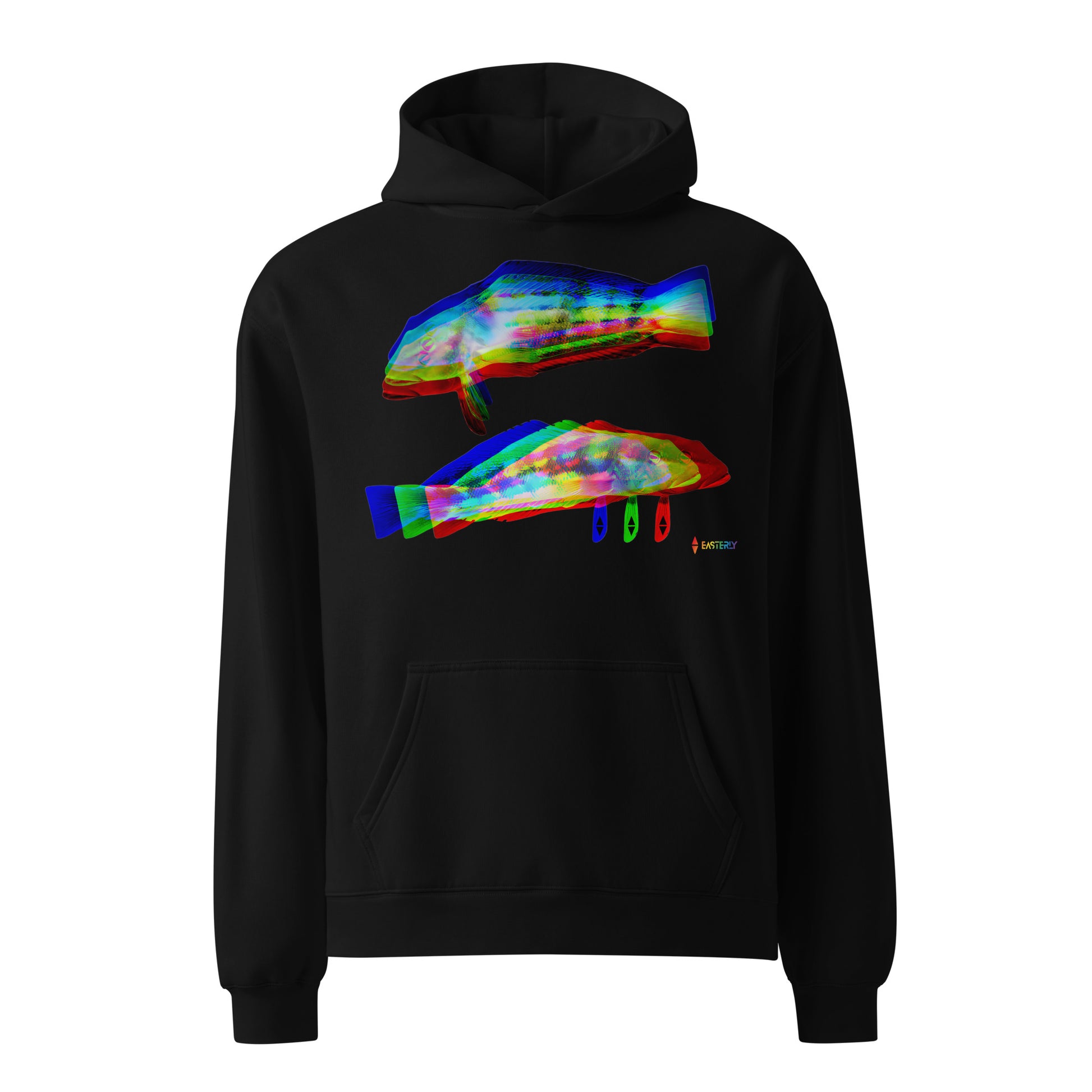 Rāwaru Flash — Hoodie, Front View, Black. Stewart Island New Zealand | EASTERLY
