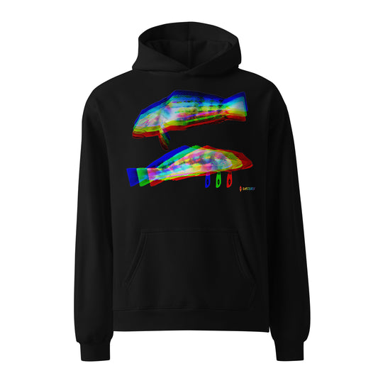 Rāwaru Flash — Hoodie, Front View, Black. Stewart Island New Zealand | EASTERLY
