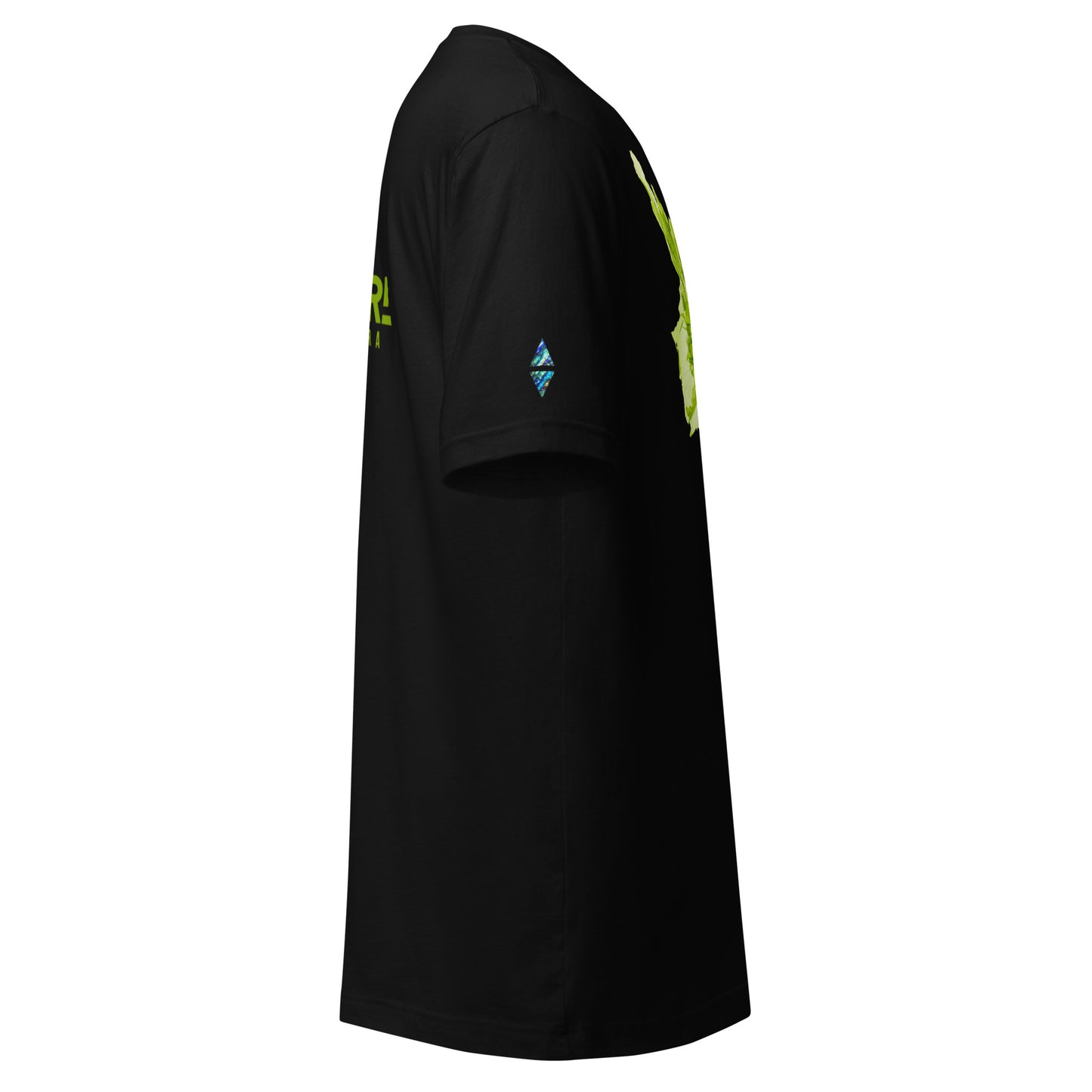 Aurora Australis — Unisex Tee, Right View, Black. Stewart Island New Zealand | EASTERLY
