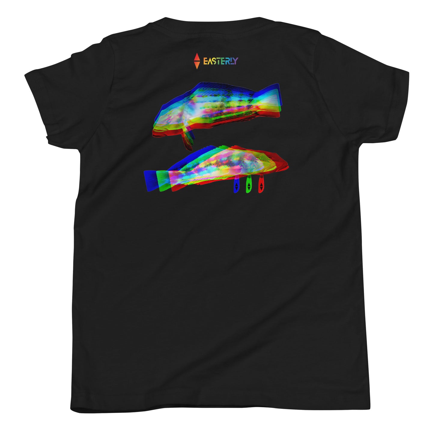 Rāwaru — Youth Cotton Crew Neck T-Shirt, Back View, Black. Stewart Island New Zealand | EASTERLY
