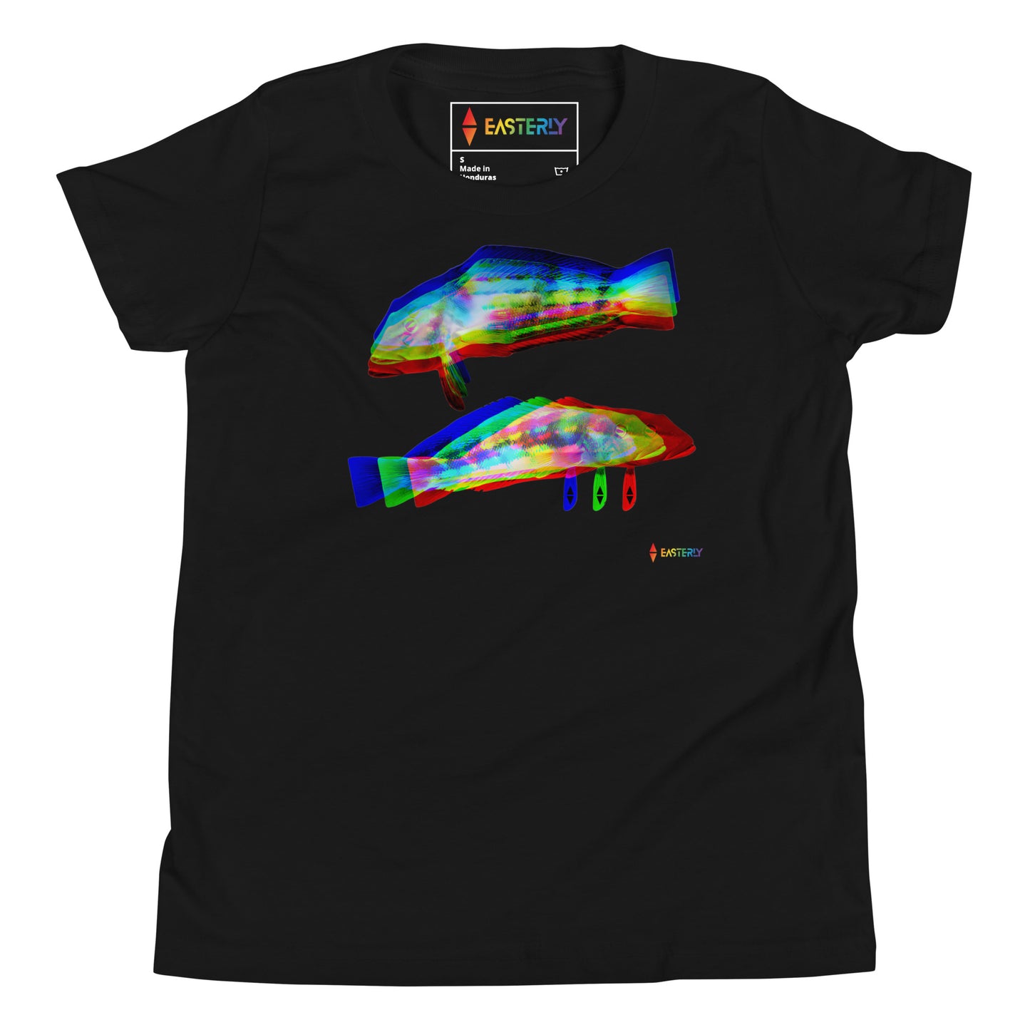 Rāwaru — Youth Cotton Crew Neck T-Shirt, Front View, Black. Stewart Island New Zealand | EASTERLY
